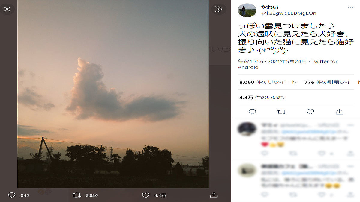 犬の遠吠えにも見えるし振り向いた猫にも見える 不思議な雲が話題 ライブドアニュース