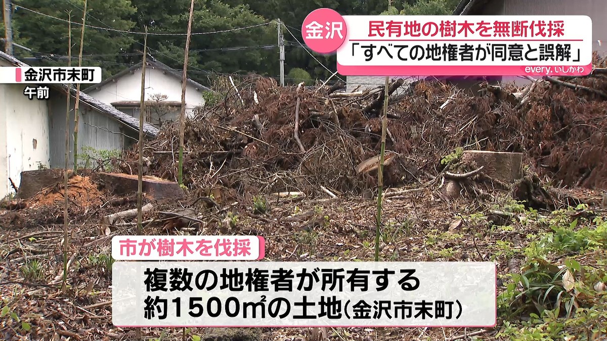 �ƥ�Ӷ���NEWS