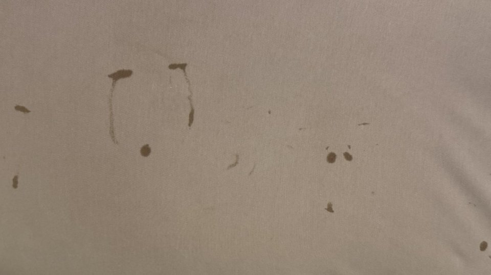 ���䥤������������2��̼ �㤭�ʤ���襮�ܡ��˴�����뤳�Ȥ�̴��