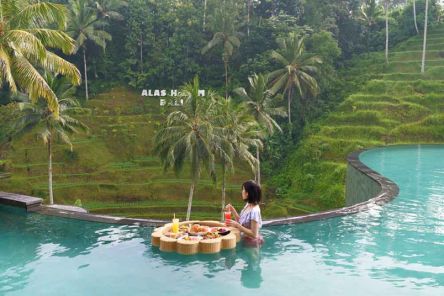 2024年バリ島最新情報！】ジャングル・ブランコから棚田