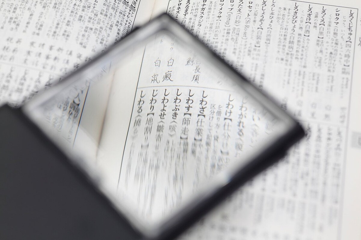Photo: Adobe Stock