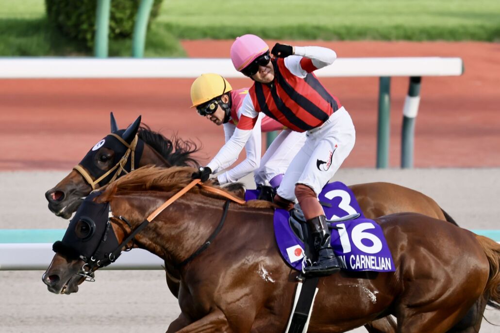 スプリンターズS】ウインカーネリアンが大接戦を制する…三浦皇成は待望