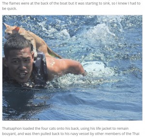 肩に猫を乗せて泳ぐ海兵隊員(画像は『Express Informer 2021年3月3日付「Saved from cat-astrophe: Four cats are rescued from a sinking ship by Thai navy」(PO1 WICHIT PUKDEELON via REUTERS)』のスクリーンショット)