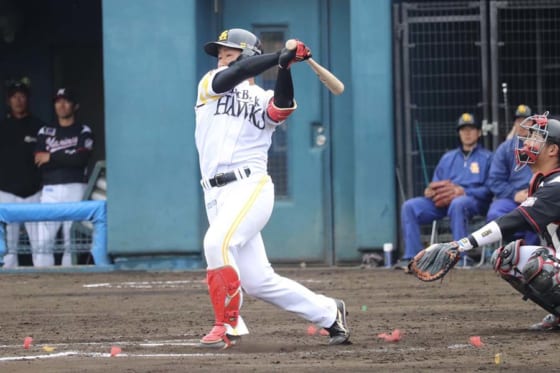 8回に代打で登場したソフトバンクのドラフト3位ルーキー野村大樹【写真：福谷佑介】