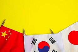 �ڹ�ͤΡ����ܤ��Ф��봶��פȡ������Ф��봶��פ���������ǯ�򶭤��礭���Ѥ�ä��Ȥ��������ڶ�Ʊ�ǹԤ�줿Ĵ���ˤ��ȡ��ڹ�ͤ����ܿͤ��Ф��빥���٤���ǯ��ꥢ�åפ����Τ��Ф����դ����ͤ��Ф��빥���٤ϲ����ä����ʥ��᡼���̿��󶡡��������ңơ�