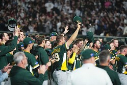 ˹�Ҥ��äƴ��դ򼨤���WBC�������ȥ�ꥢ��ɽ�ڼ̿�����������