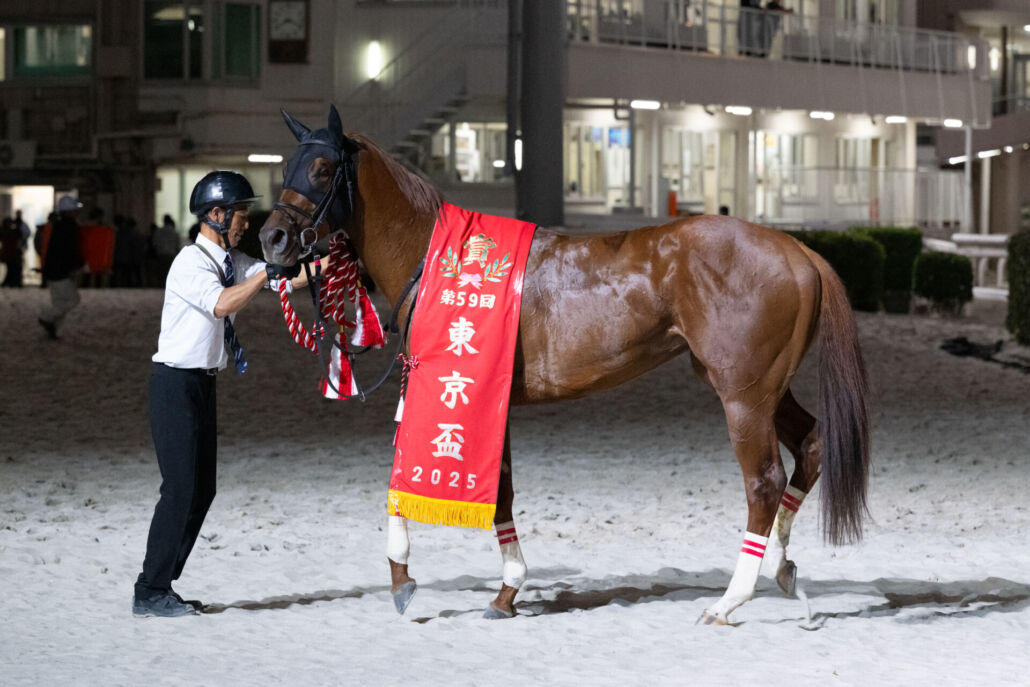 ����֤���������ޥ˥�����륭 (C)������ƥ�����