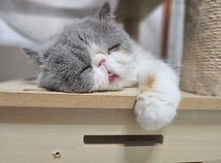 ������������ʤ�Ȥ�����ʤ�ɽ��ǽϿ礹��ǭ��������䤷����
