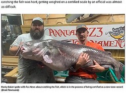 2ͤ夲ʥޥʲϡFox News2021ǯ714աRecord-breaking fish caught in North Carolina: Looked like a whale in the back of the boatǡסBrent Townsendˡ٤Υ꡼󥷥åȡ