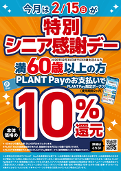 PLANT ���̥��˥����եǡ� 2��15�� PLANT Pay 10��Ը�