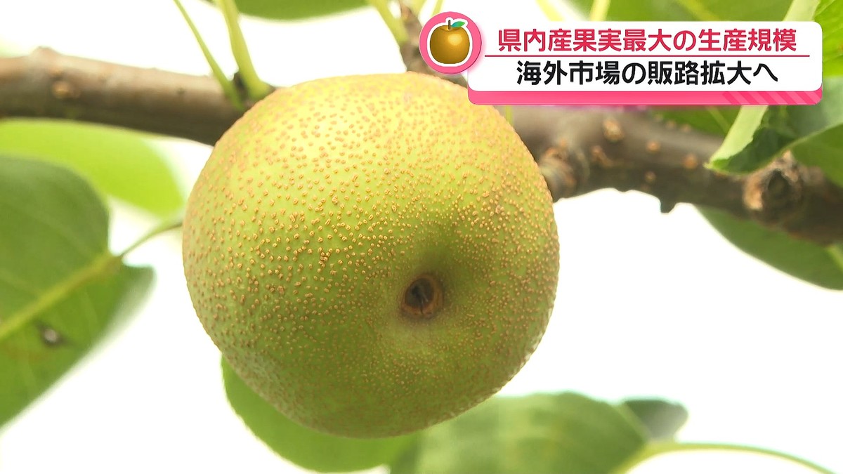 テレビ金沢NEWS