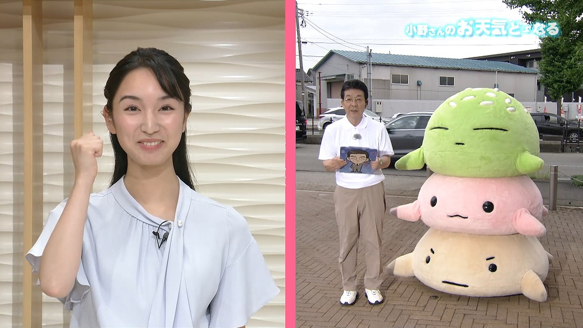 テレビ金沢NEWS