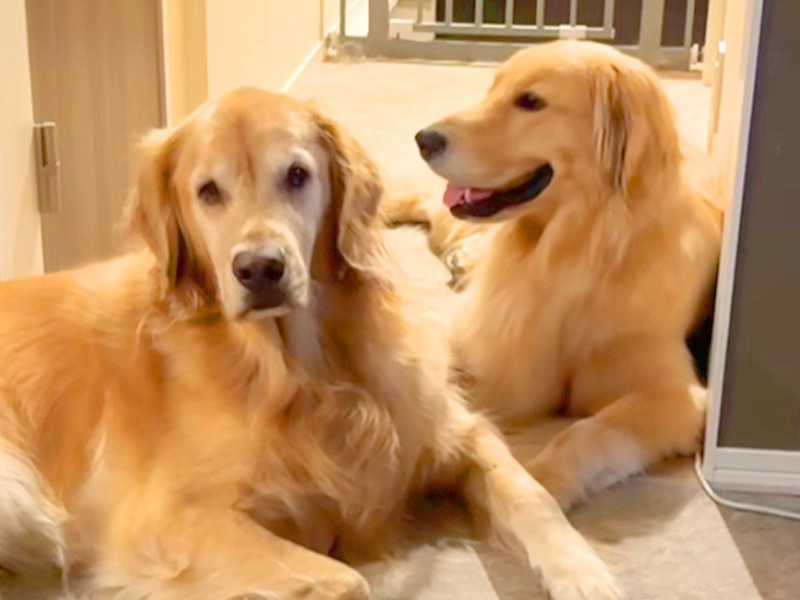 ͧãڸ繥ʥǥȥС ޤˤ̹Ԥʰ