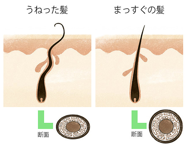 髪のうねり 前髪のクセを解消 乾かし方のコツ スタイリング剤選び Peachy ライブドアニュース