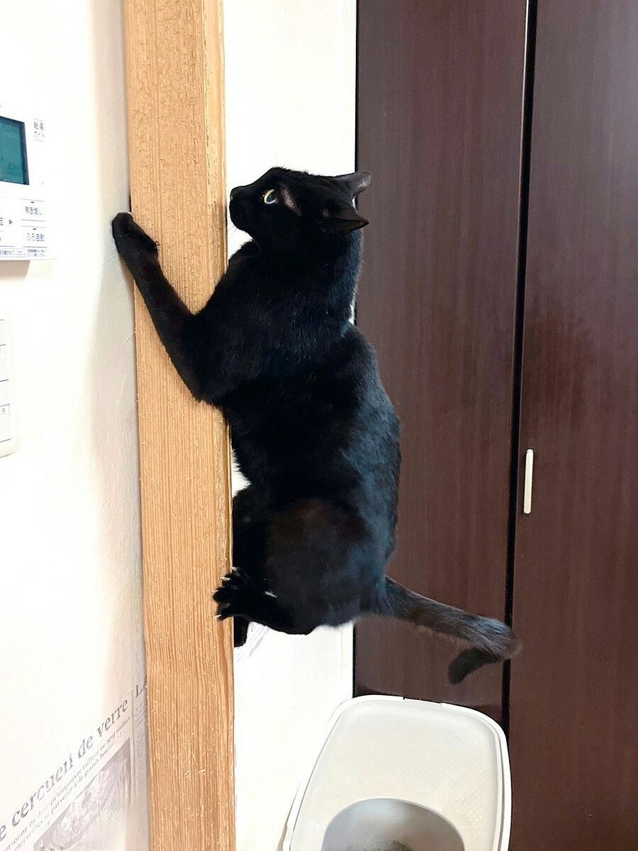 画像が削除されました