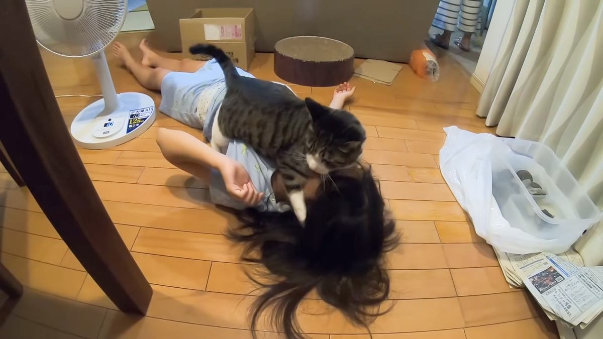 ̼δξǭʤ֤ä...ɤ2Ȥͷ