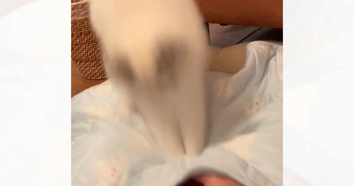 ֤ʤβİʪ...׻о줹ǭθʤ