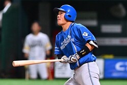 ���ܥϥࡦ���ĸ���ڼ̿��������ˡ�