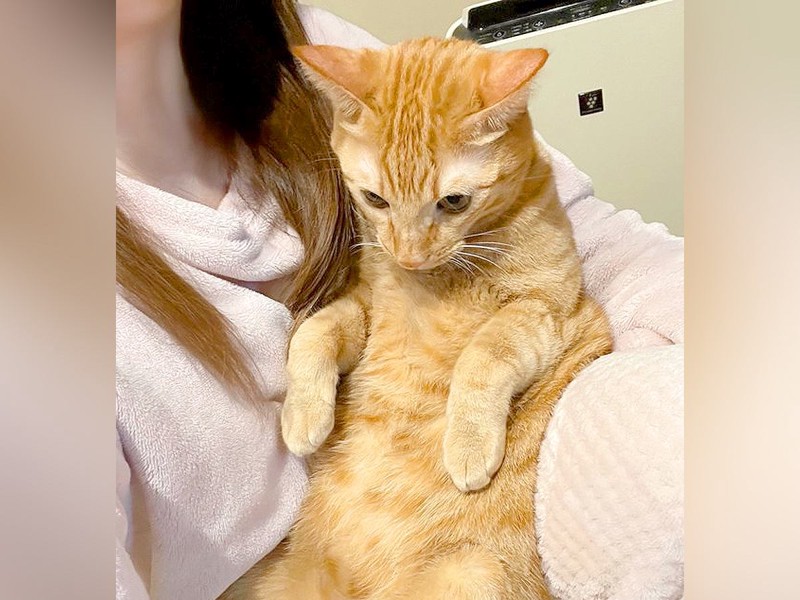 画像が削除されました