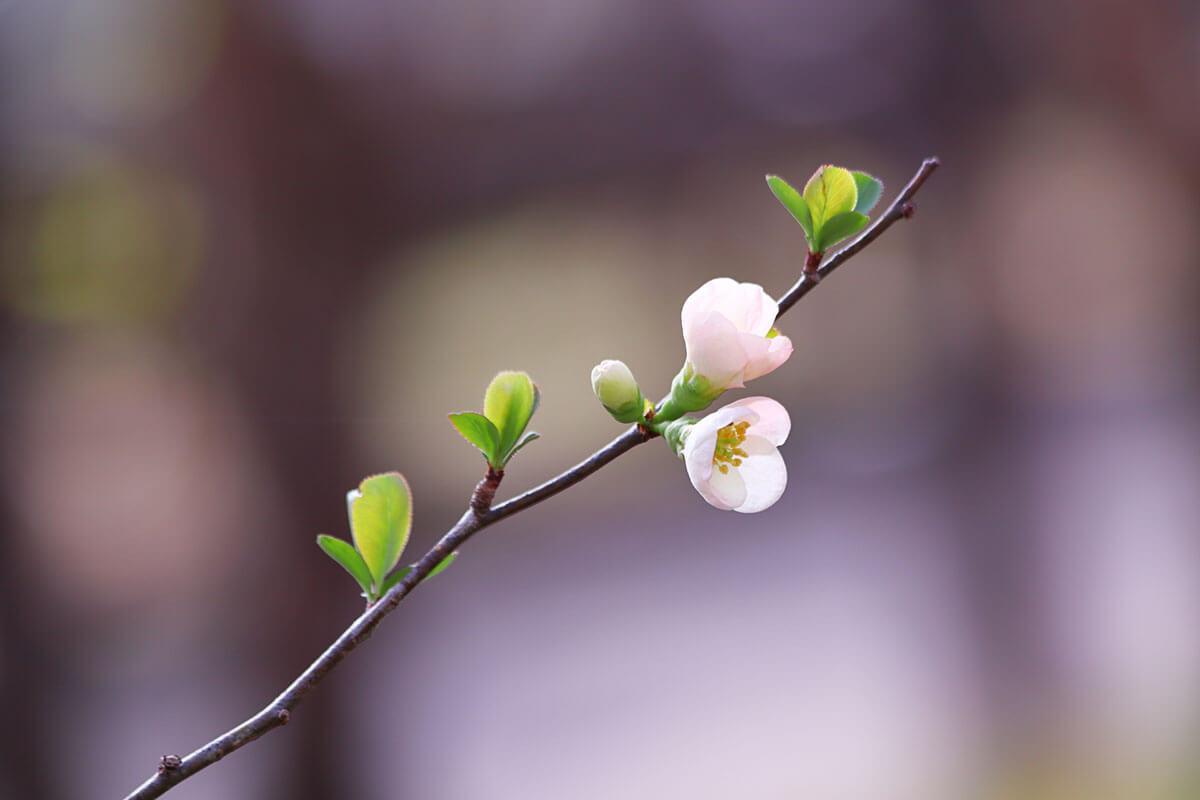 「妻との関係はもうこのまま膠着状態でいい」。そこまで言わせるお相手は…