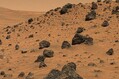 250209_microbeonmars3