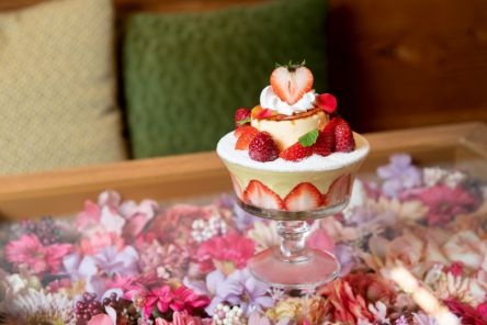 ルブの森様】フェイクスイーツ苺＆ピスタチオムースフレジェ風X