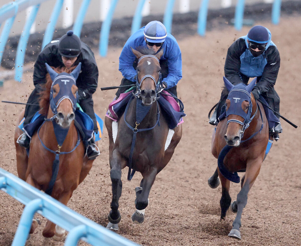 佳子様牝犬調教 フローラS】ゴーソーファーが3頭併せの真ん中で食らいつく 津村明秀騎手「順調なのは何より」 - ライブドアニュース