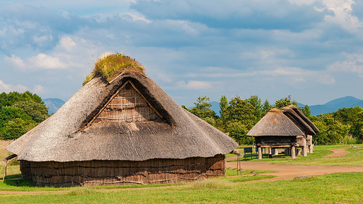 日本酒の始まり、実は「米」じゃない――古代の日本人が愛した“縄文ワイン”を示す証拠