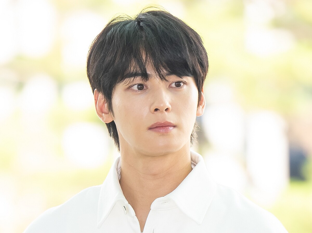 懲役5年以上の可能性も 200億ウォン脱税疑惑が浮上した“顔天才”チャウヌの法的争点 - ライブドアニュース