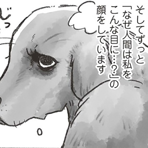 「先が短いと知らされて...」漫画家の漫画に秘めた想い
