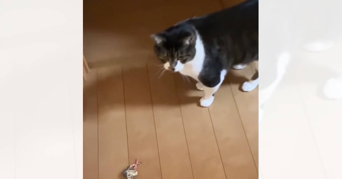 画像が削除されました