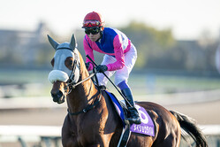 ͭ�ϵ�ǰ���ᥤ���祦���Х����˭����