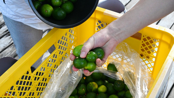 「マチ★アソビ」さまざまな特色ある催し 1つかみで平均5個は取れる?