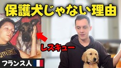 եꥢYouTuberˡݸưʪǤʤͳִñʤ²ΰͤ