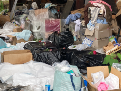 ���̤Υͥ��λ೼����