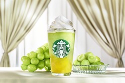 �����С��ޥ����åȥե졼�С��ο���ӥХ�å�3�ʤ�7��9����ȯ��