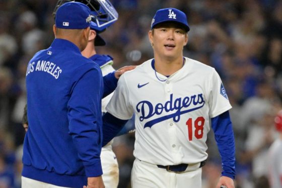 �ɥ��㡼��������ͳ���ڼ̿�������������