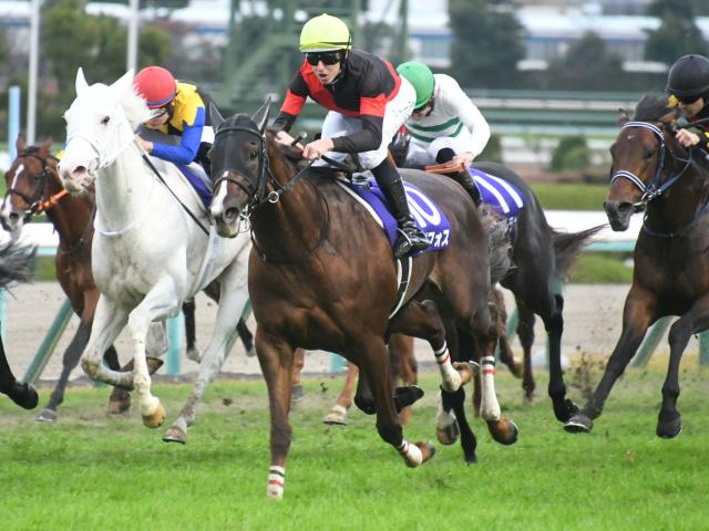 マイルCS枠順確定】シュネルマイスターは5枠9番、セリフォスは6枠11番