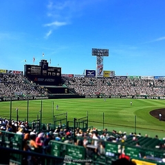 甲子園の特等席を占領していた 8号門クラブ 現在はドリームシートの横に ライブドアニュース
