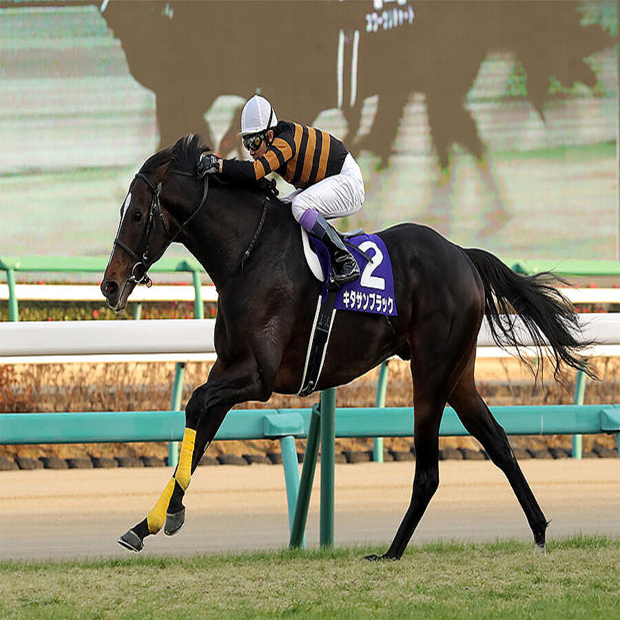 キタサンブラック2017年の有馬記念 武豊騎乗のキタサンブラックが優勝