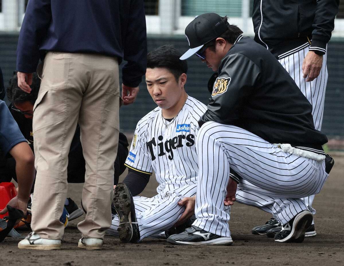 阪神・石井大智がWBC出場辞退へ「左アキレス腱損傷」の診断結果