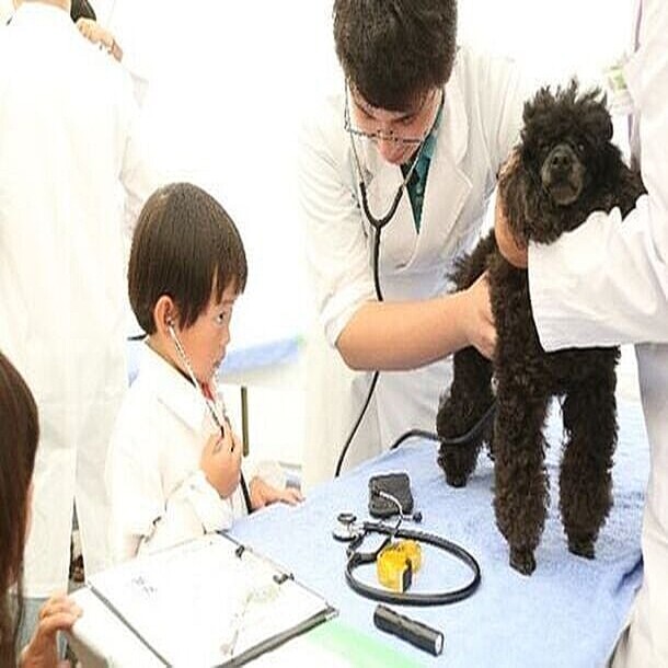 獣医師の役割について知れる！2023動物感謝デー in JAPAN “World Veterinary Day” (2023年11月8日掲載