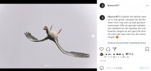 まるで合成写真のように不思議なポーズで空を飛ぶ渡り鳥(画像は『Vincent TC 2021年3月14日付Instagram「Ondanks het slechte weer (of in mijn geval: vanwege het slechte weer) toch nog even op pad geweest vanmorgen.」』のスクリーンショット)