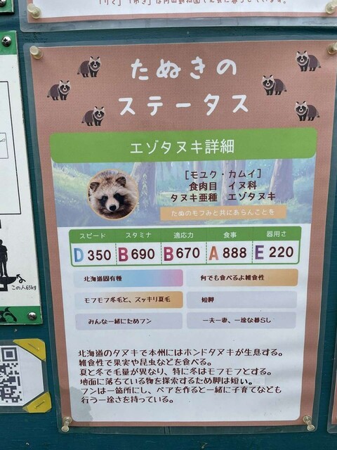 動物園の「たぬきのステータス」ポスターに、ウマ娘トレーナー大