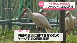 �ƥ�Ӷ���NEWS