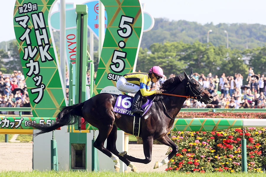 【NHKマイルC】ジャンタルマンタルが優勝「マイルなら負けない」名手の信頼に応える完全無欠の走り ライブドアニュース