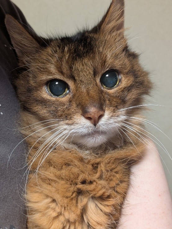 19��11����26���������Ƥ��줿�����뤯��