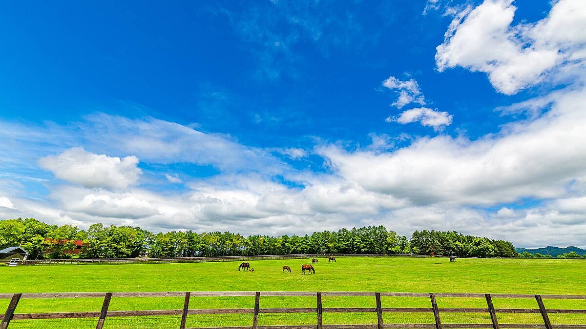 （※写真はイメージです／PIXTA）