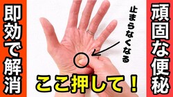 ߥԥȤβڻ᤬Ҥ򤯡ء¨áۤ⤦ޤʤäʬߤǽإɥХɥС40夫إȥーˡ