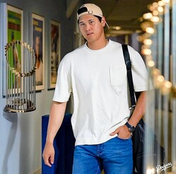 ��������ꤹ����ë�ʥ����󥼥륹���ɥ��㡼���󶡡�